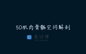 5D肌肉骨骼空间解剖