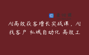 AI高效获客增长实战课，AI找客户 私域自动化 高效工