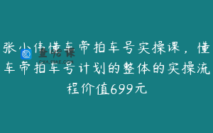 张小伟懂车帝拍车号实操课，懂车帝拍车号计划的整体的实操流程价值699元