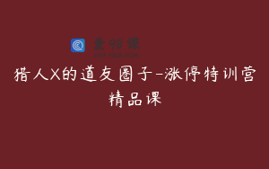 猎人X的道友圈子-涨停特训营精品课