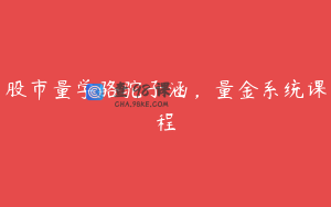 股市量学骆驼子涵，量金系统课程
