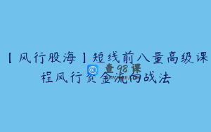 【风行股海】短线前八量高级课程风行资金流向战法