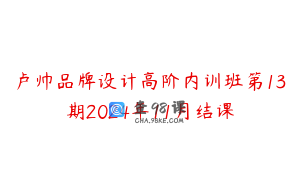 卢帅品牌设计高阶内训班第13期2024年11月结课