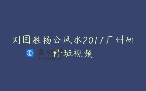 刘国胜杨公风水2017广州研修班视频