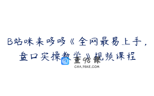 B站咪来哆哆《全网最易上手，盘口实操教学》视频课程