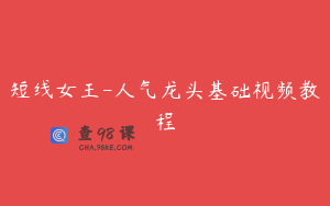短线女王-人气龙头基础视频教程