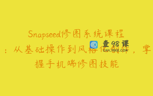 Snapseed修图系统课程：从基础操作到风格化创作，掌握手机端修图技能
