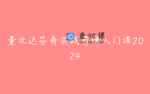 董北达芬奇实战剪辑入门课2024