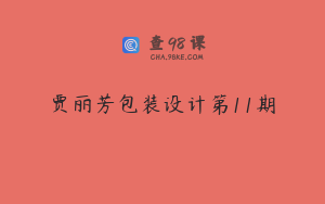 贾丽芳包装设计第11期