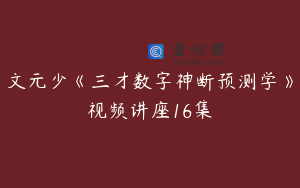 文元少《三才数字神断预测学》视频讲座16集