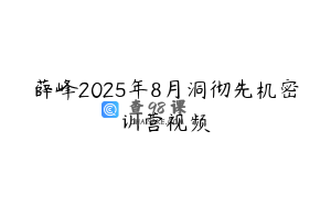 薛峰2025年8月洞彻先机密训营视频