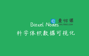 Bioxel Nodes 科学体积数据可视化