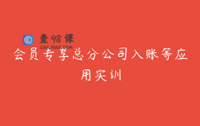 会员专享总分公司入账等应用实训