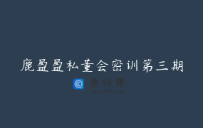 鹿盈盈私董会密训第三期