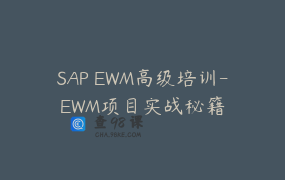 SAP EWM高级培训-EWM项目实战秘籍