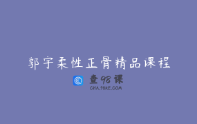 郭宇柔性正骨精品课程