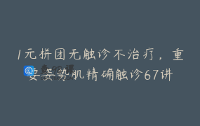 1元拼团无触诊不治疗，重要姿势肌精确触诊67讲