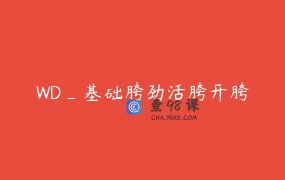 WD_基础胯劲活胯开胯