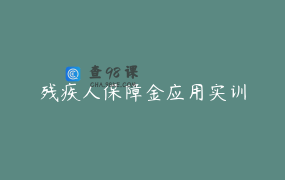 残疾人保障金应用实训