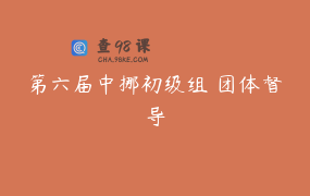 第六届中挪初级组 团体督导