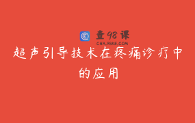超声引导技术在疼痛诊疗中的应用