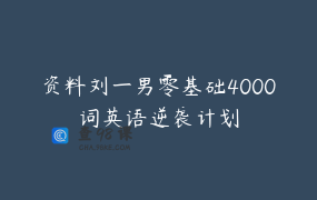 资料刘一男零基础4000词英语逆袭计划