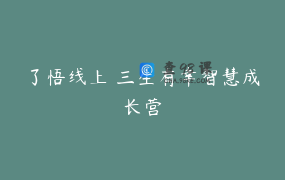 了悟线上 三生有幸智慧成长营