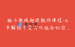 格斗教练超级靶师课程-6步解锁千变万化组合秘密_中国CN景昊