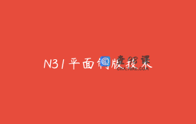 N31平面制版技术