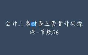 会计上岗财务主管晋升实操课-节数56
