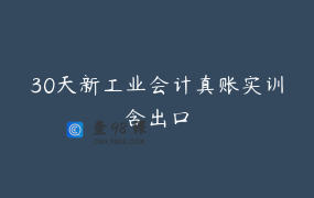 30天新工业会计真账实训含出口