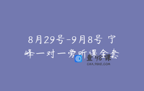 8月29号-9月8号 宁峰一对一旁听课全套