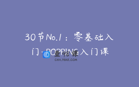 30节No.1：零基础入门-POPPING入门课程（成人） _ 刘浩.D80Crew