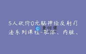 5人砍价0元脑神经反射疗法系列课程-躯体、内脏、心理、疑难杂症诊疗