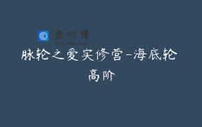 脉轮之爱实修营-海底轮 高阶