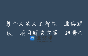 每个人的人工智能_通俗解读_项目解决方案_迪哥Ai大讲堂