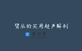 臂丛的实用超声解剖