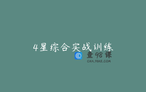 4星综合实战训练