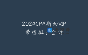2024CPA斯南VIP带练班：会计