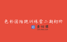 色彩团陪跑训练营二期初阶