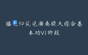 猫老师琵琶演奏级大综合基本功V1阶段