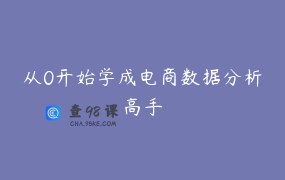从0开始学成电商数据分析高手