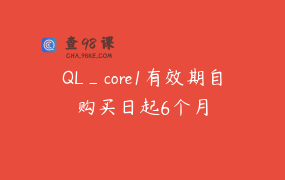QL_core1有效期自购买日起6个月