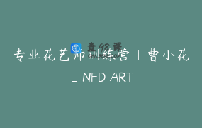 专业花艺师训练营｜曹小花_NFD ART