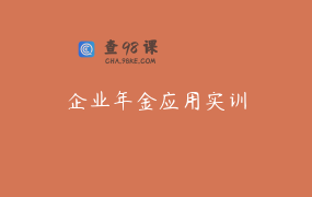 企业年金应用实训