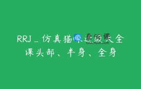 RRJ_仿真猫咪进级大全课头部、半身、全身