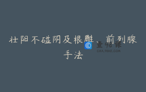 壮阳不碰阴及根雕、前列腺手法