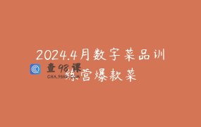 2024.4月数字菜品训练营爆款菜