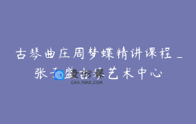 古琴曲庄周梦蝶精讲课程_张子盛古琴艺术中心