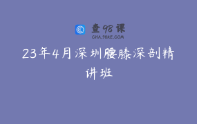 23年4月深圳腰膝深剖精讲班